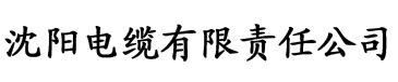 91香蕉视频黄版电缆厂logo